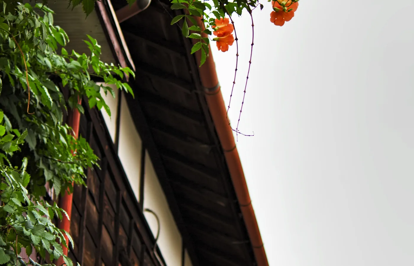 日本の木造住宅の軒先と雨どい